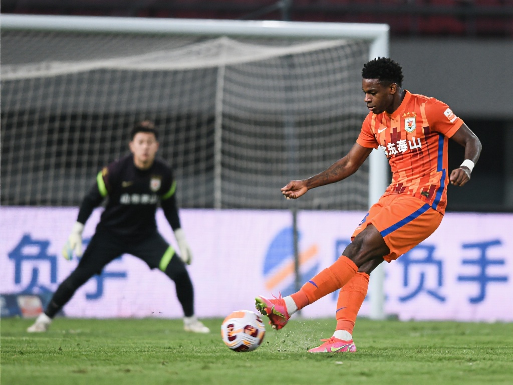 自加盟以来 自加盟以来