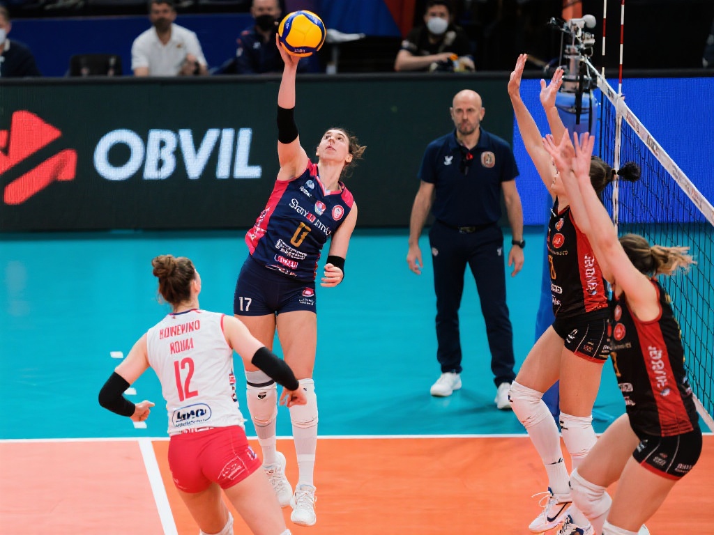 为队员提供 为队员提供